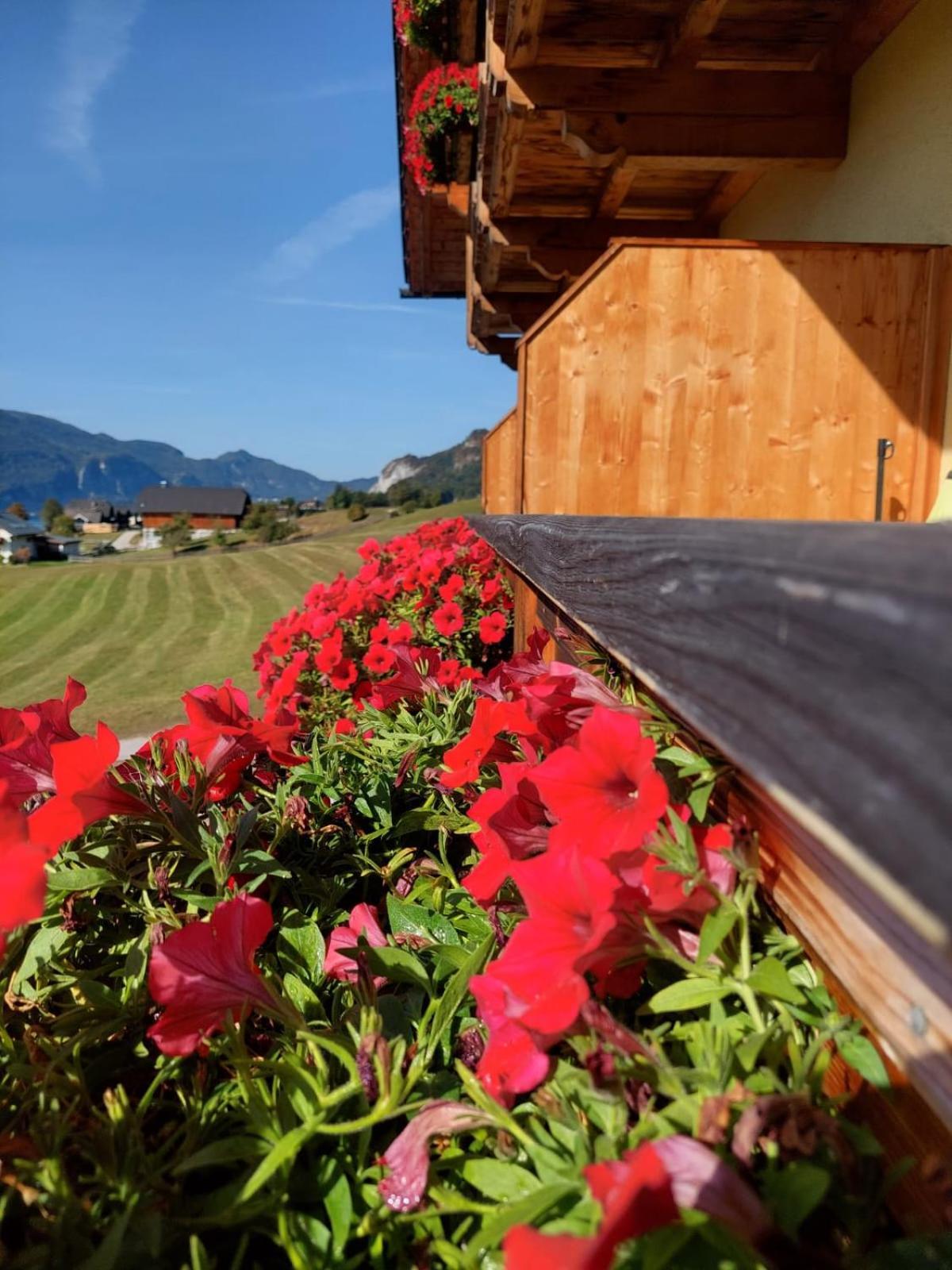 Haus Hoedlmoser Sankt Wolfgang im Salzkammergut Экстерьер фото